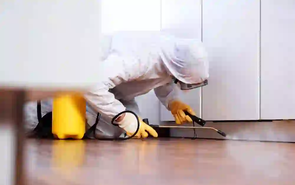 Insect Control Company in Saudis Arabia