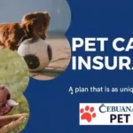 Pet Insurance