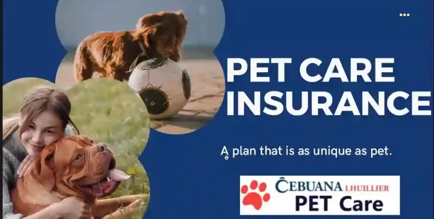 From Puppies to Seniors: Adapting Pet Insurance Throughout Life Stages