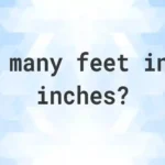 74 Inches in Feet