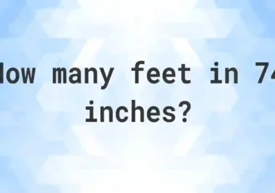 74 Inches in Feet – Convert and Visualize Height Like a Pro